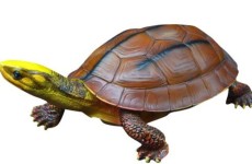 Nhận làm các mẫu tượng rùa composite dễ thương giá rẻ D240cm