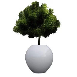 bon hoa composite 16135