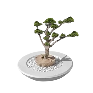 ghe chau cay noi that ngoai troi 18881