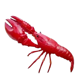 gia cong mo hinh composite theo yeu cau gia re 30529