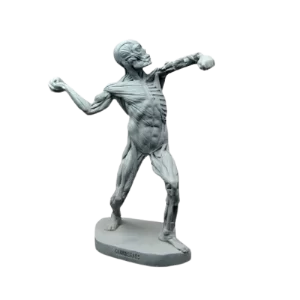 nhung dia chi uy tin san xuat mo hinh composite tai hcm removebg preview 88865